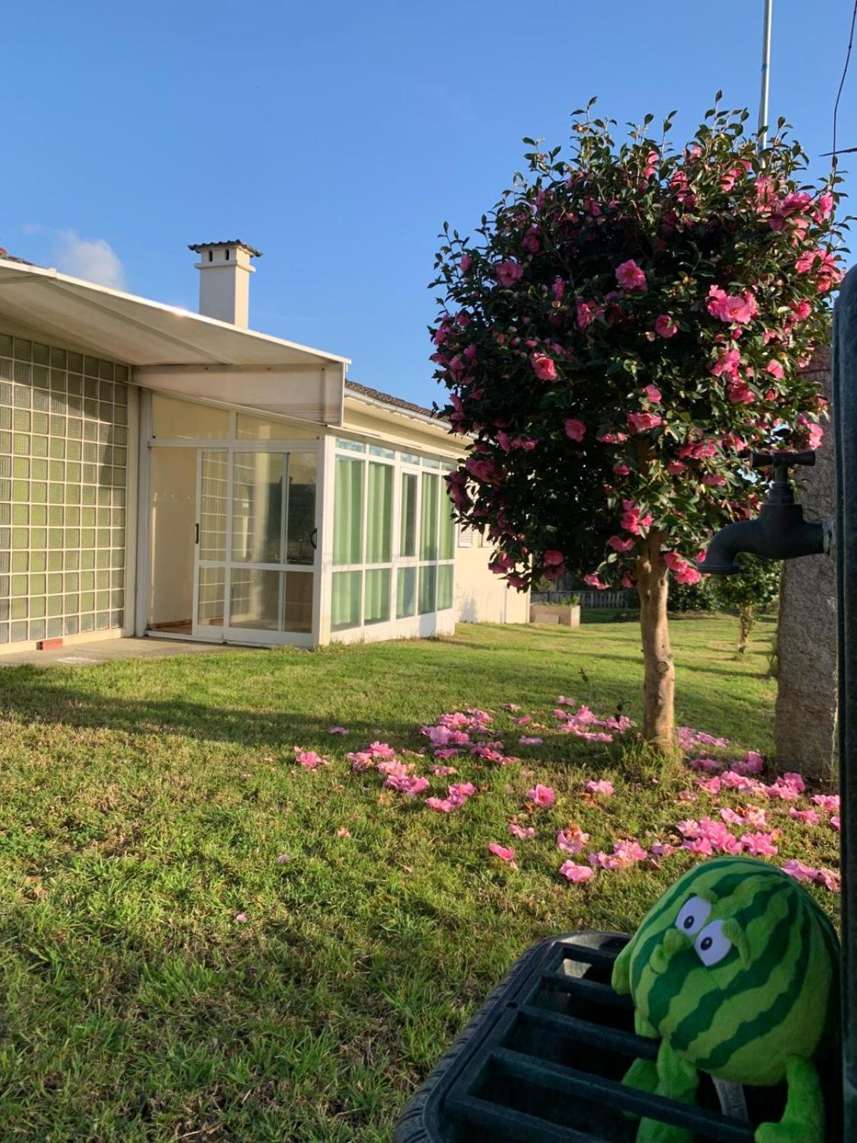 A Casa De Abelleira Ponteareas Bed and Breakfast Εξωτερικό φωτογραφία