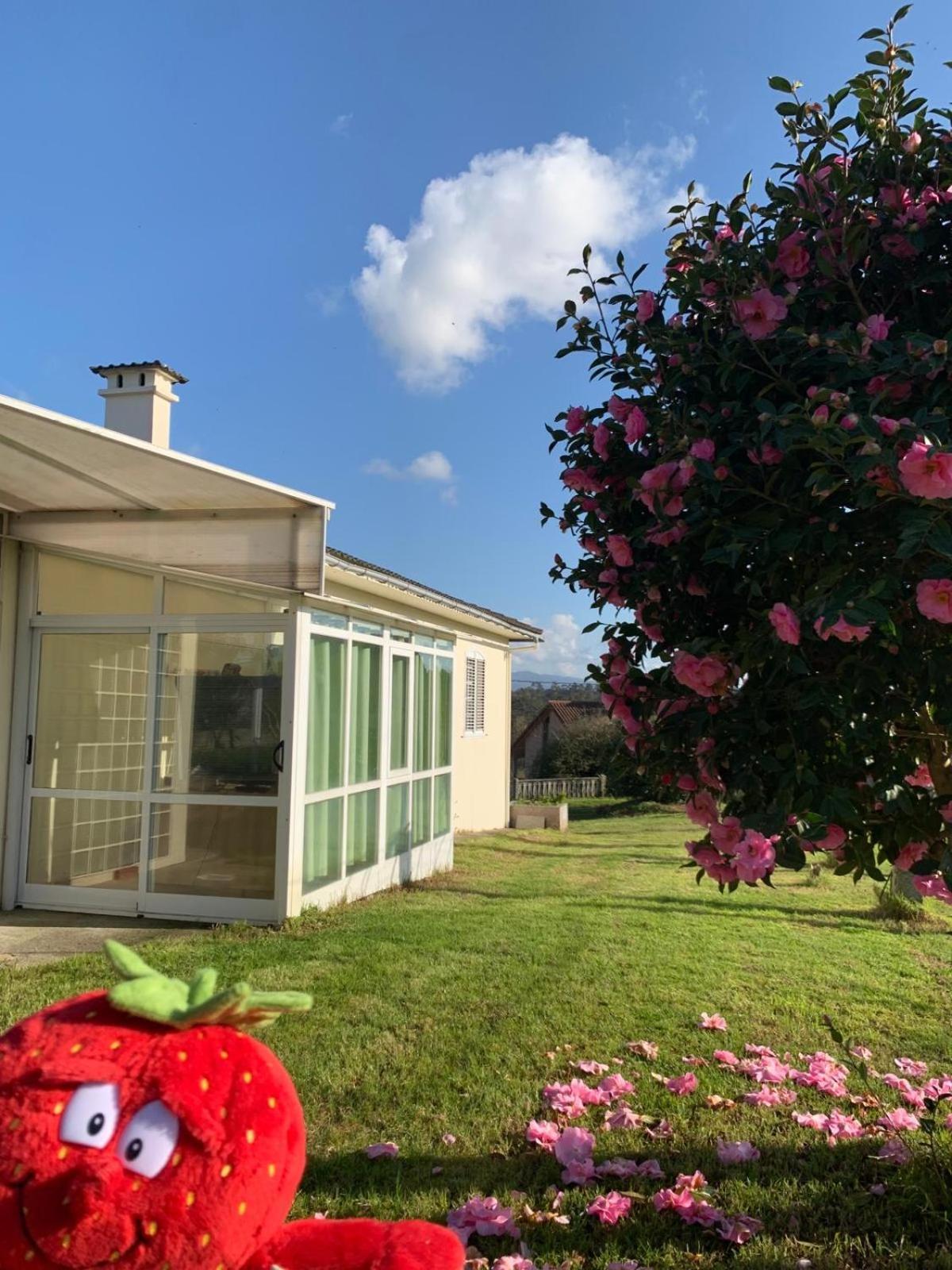 A Casa De Abelleira Ponteareas Bed and Breakfast Εξωτερικό φωτογραφία