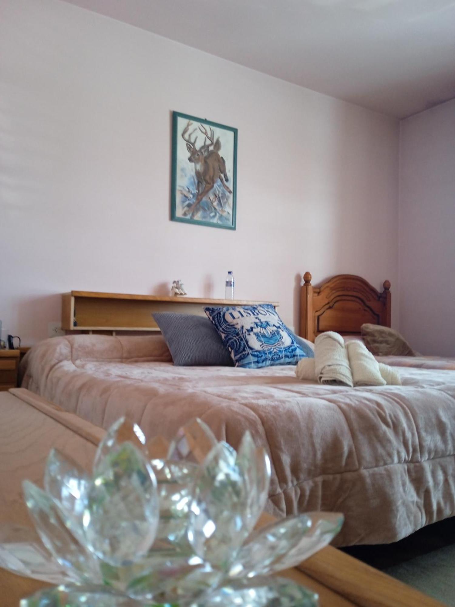A Casa De Abelleira Ponteareas Bed and Breakfast Εξωτερικό φωτογραφία