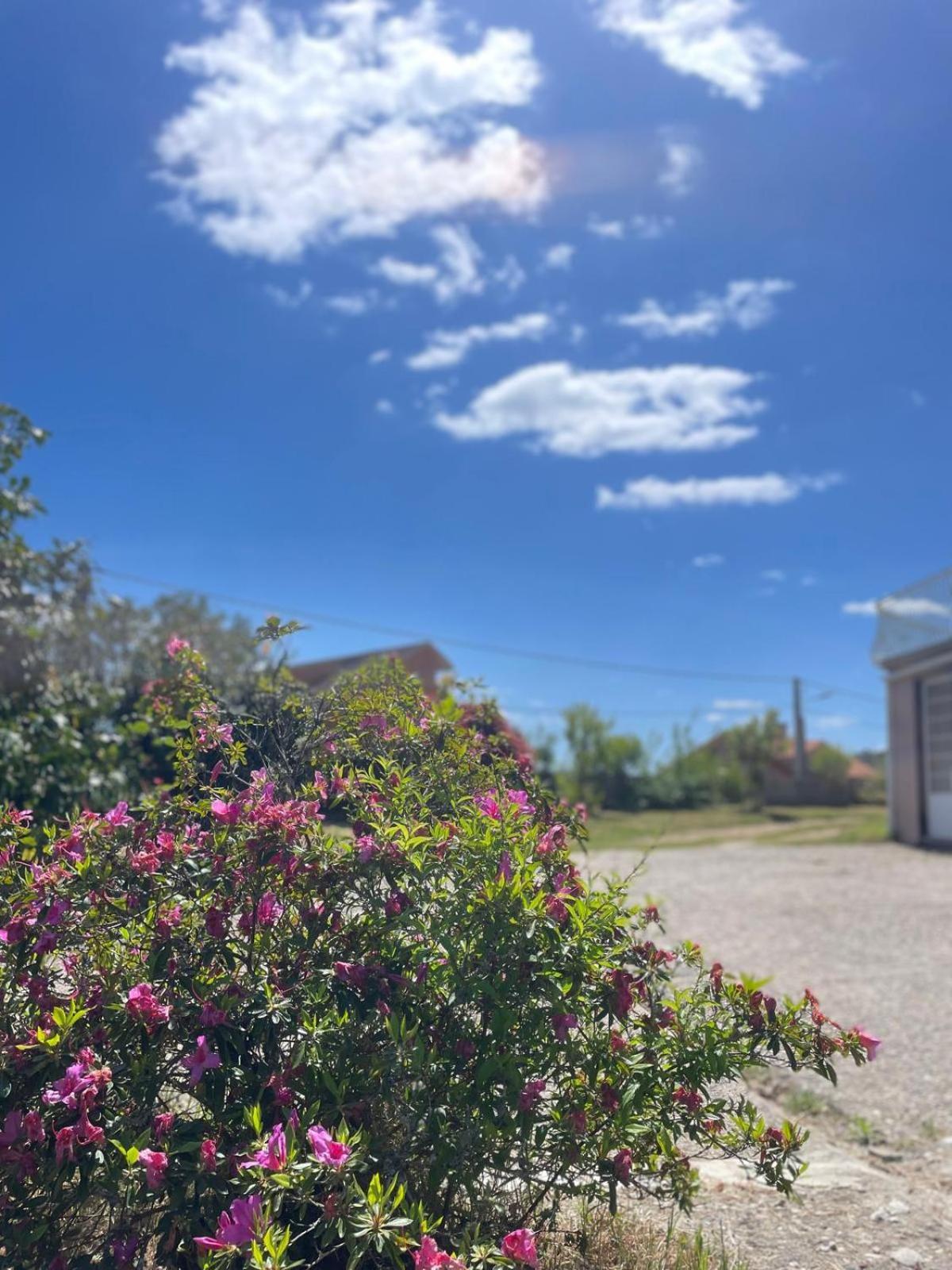 A Casa De Abelleira Ponteareas Bed and Breakfast Εξωτερικό φωτογραφία